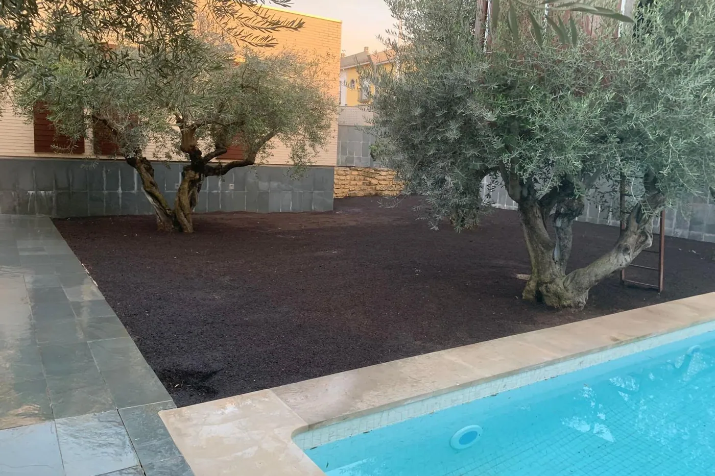Zona de tierra desnuda junto a una piscina, antes de la intervención