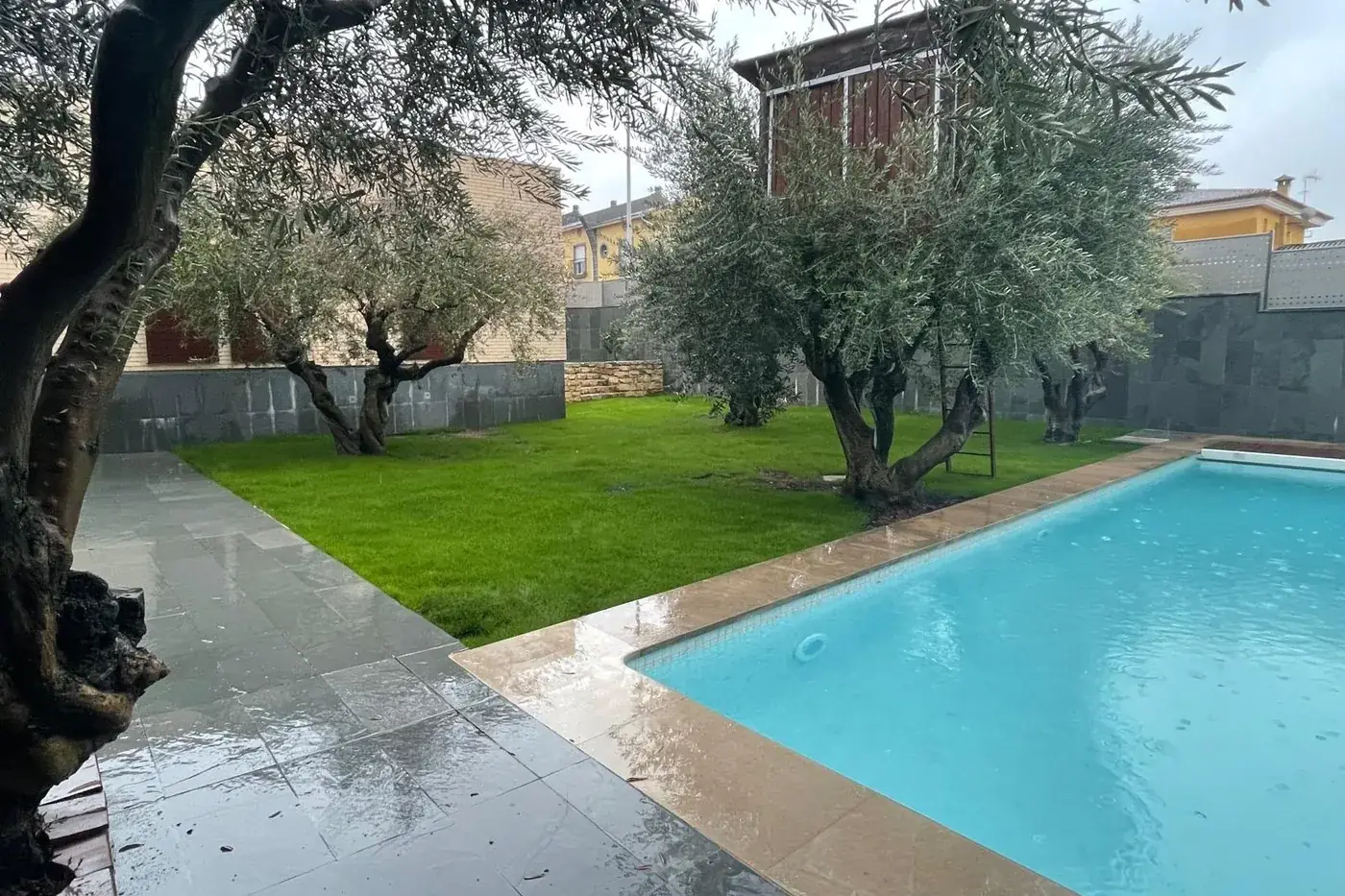 La misma zona junto a la piscina con el césped ya implantado y los olivos integrados