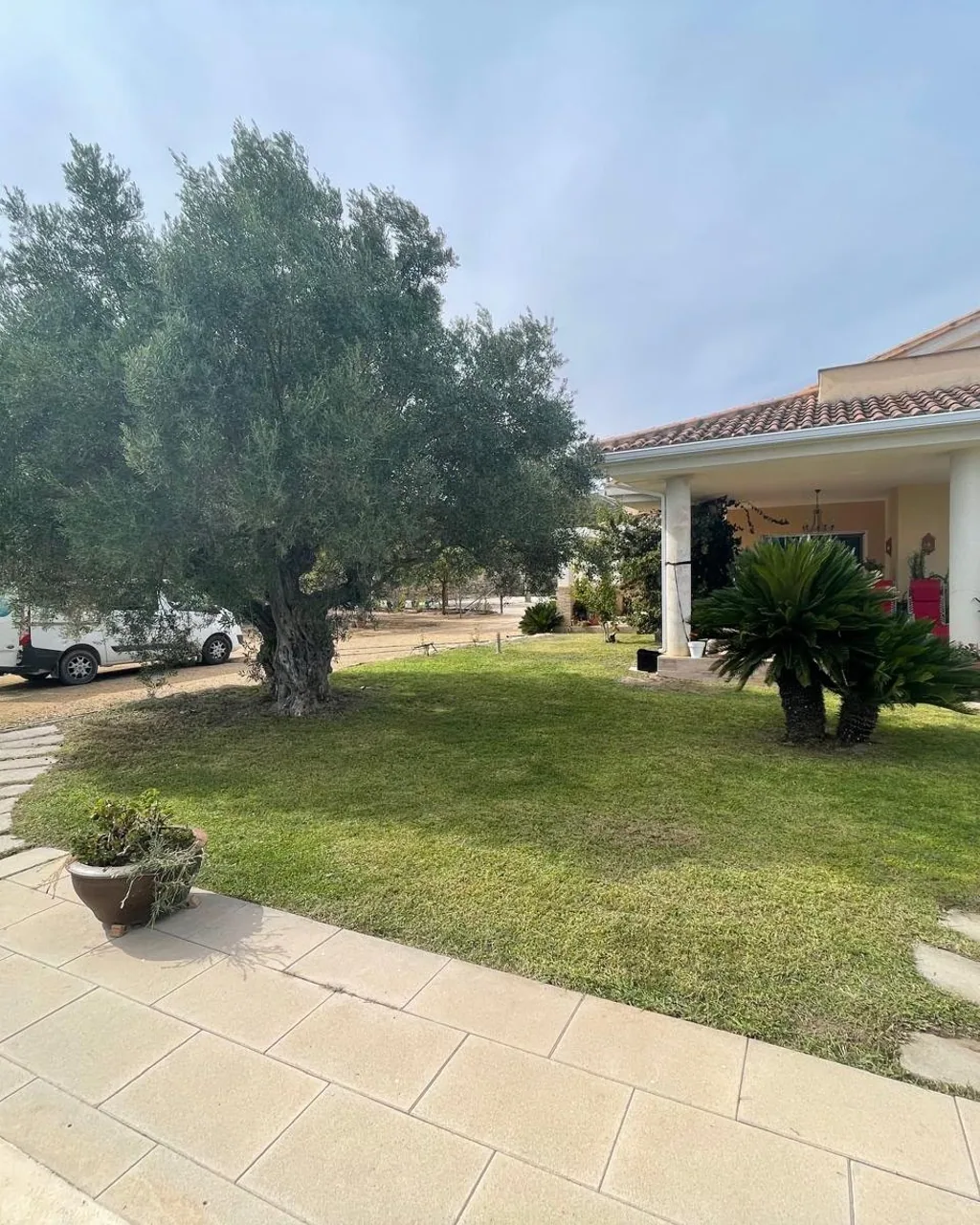 Jardín de vivienda unifamiliar con césped, olivo y paso de piedra ejecutado por Paradis Natural