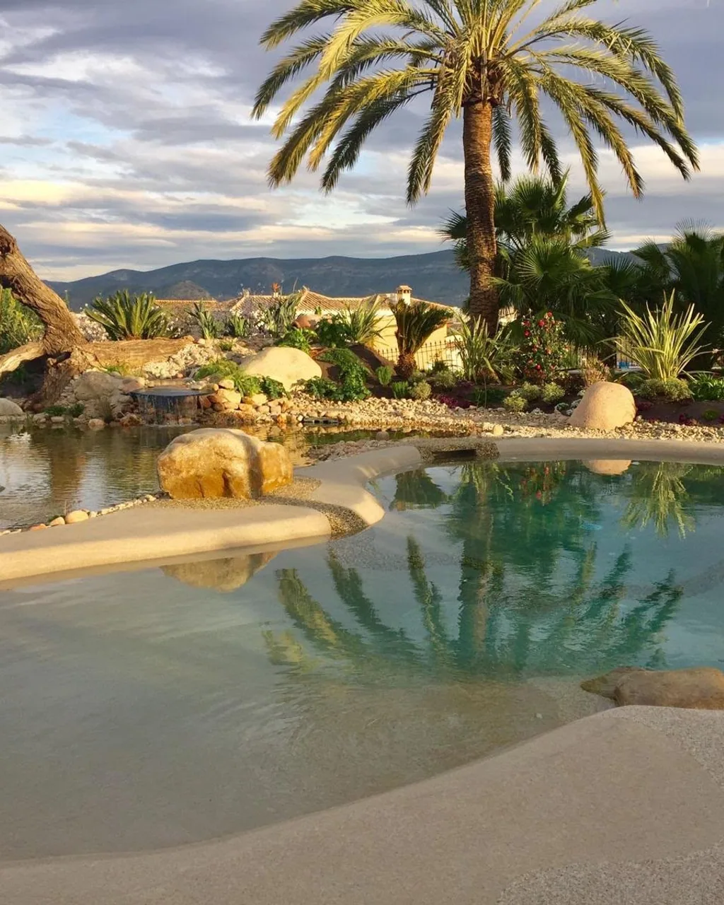 Piscina de arena tipo laguna con playa de entrada, rocas y palmeras, construida por Paradis Natural