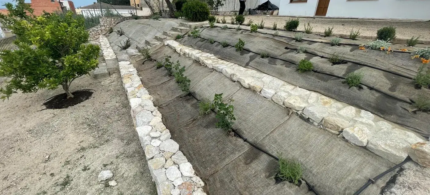 Bancales de piedra natural construidos en una ladera, con plantación nueva
