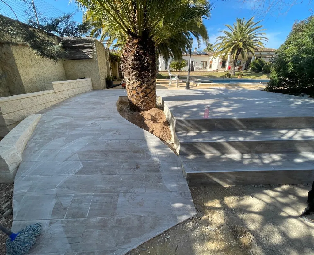 Zona pavimentada alrededor de una palmera datilera con escalones de piedra